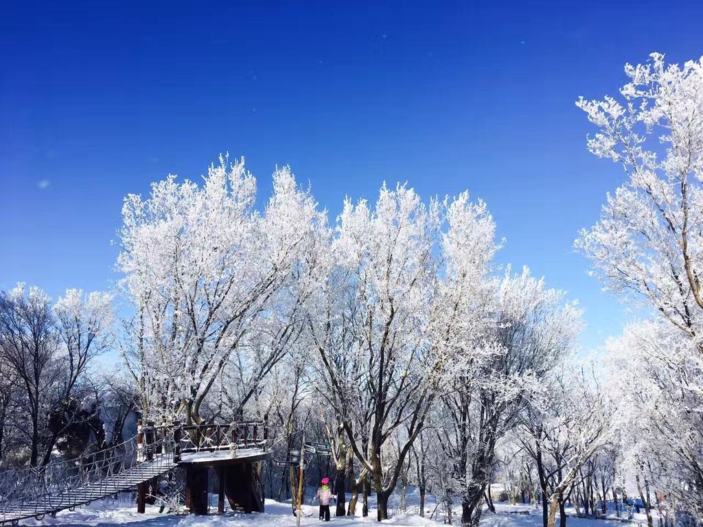 Songhua Lake Qingshan Snow View Apartment Jilin Exterior foto